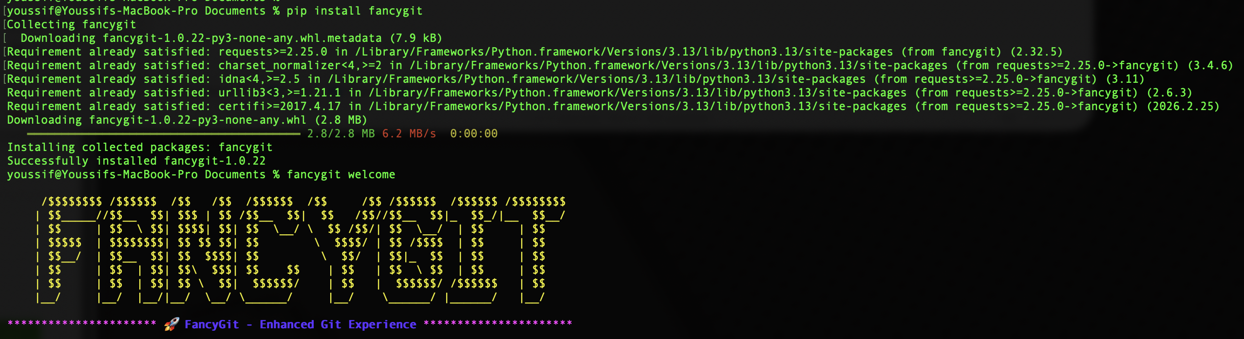 FancyGit